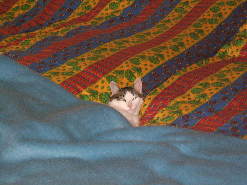 Hat sich selbst zugedeckt